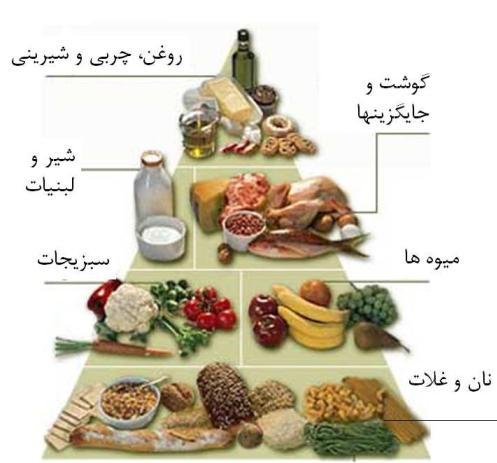 تغذیه صحیح بارداری