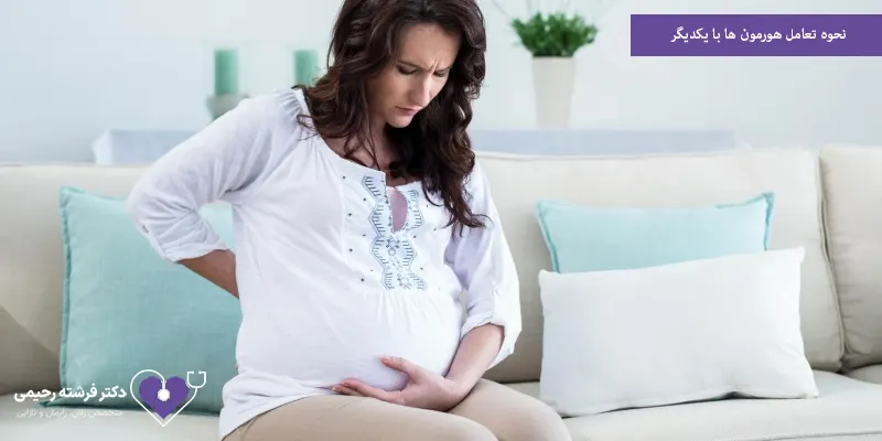 نحوه تعامل هورمون ها با یکدیگر