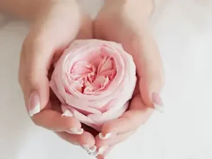 بازگشت لابیاپلاستی