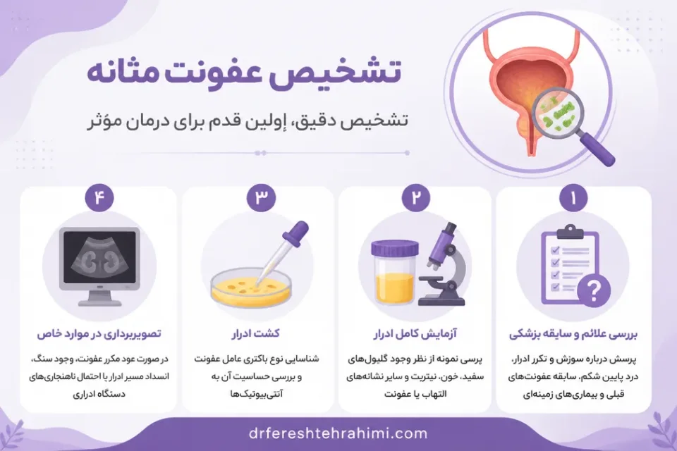 نمای توضیحی درباره تشخیص عفونت مثانه